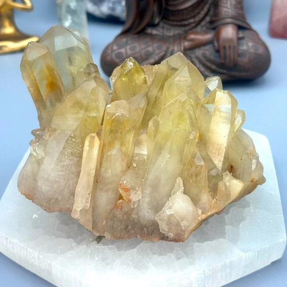 Natural Citrine Cluster Specimen - Picture 1 of 6